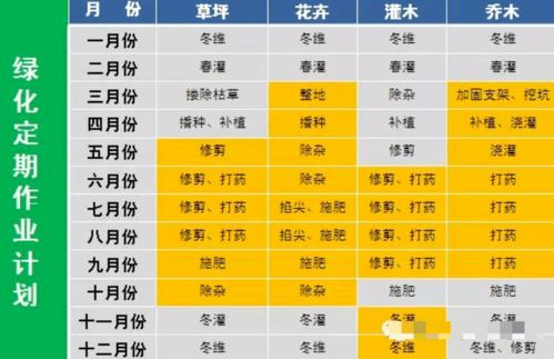 物業(yè)環(huán)境外包管控要點(diǎn) 純干貨，助力服務(wù)評(píng)估與優(yōu)化